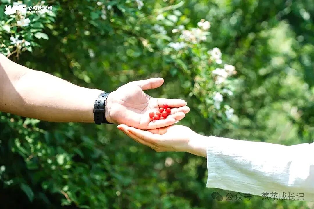 问道终南，与纪琼院长共同体验沉浸式修行！