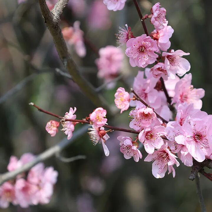 老师没收孩子的象棋奖励给别的同学，孩子愤怒又受伤，家长该怎么疏导？