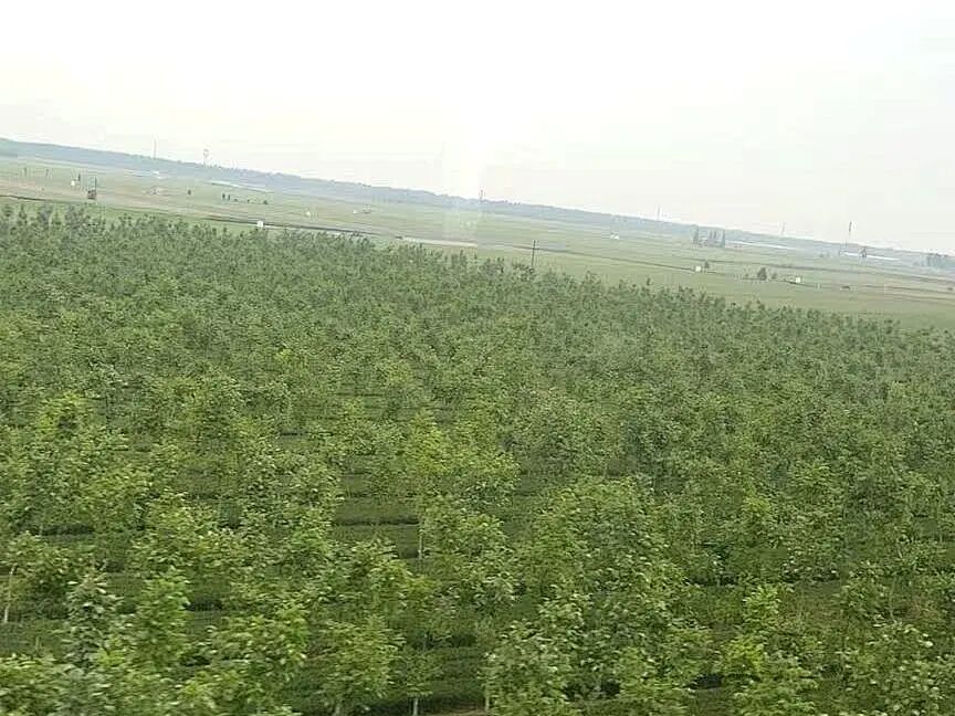 王纪琼院长与研习院的“生死契约”：研习院筑基，密训破局！