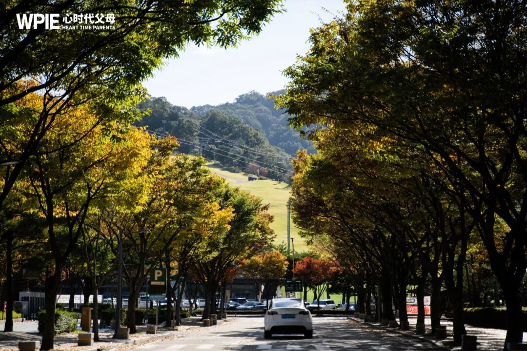 【笃行班】美学为媒，女书为礼：笃行班的韩国文化交流之旅