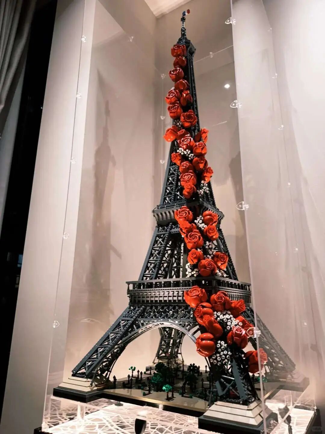 图源：小红书-Aqua🦋