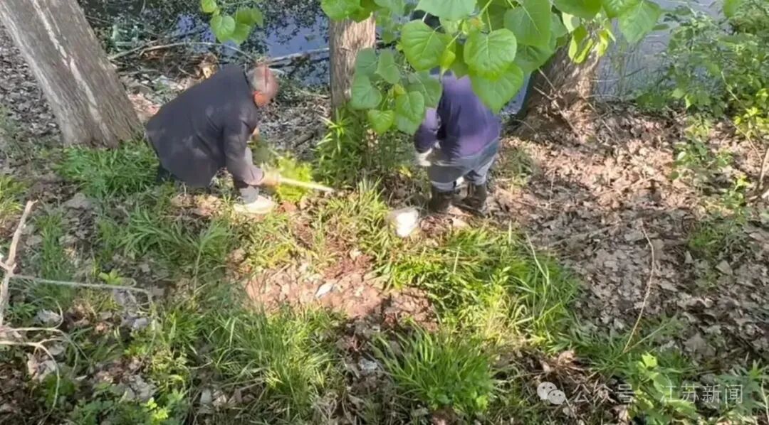 33微信图片_20260430122100_1401_2