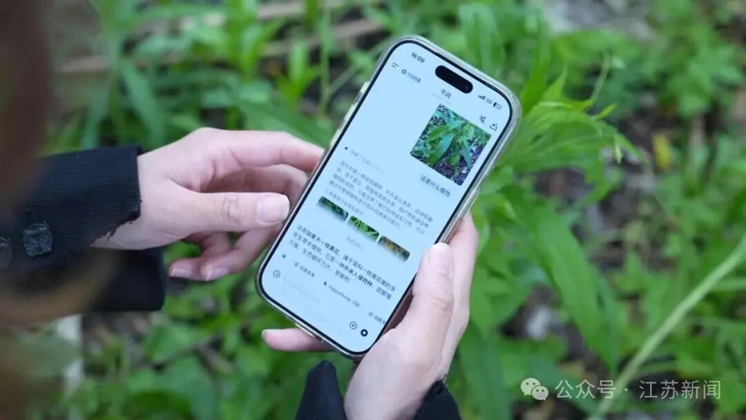 微信图片_20260429215931_1391_2