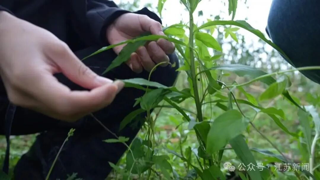 微信图片_20260429215933_1393_2