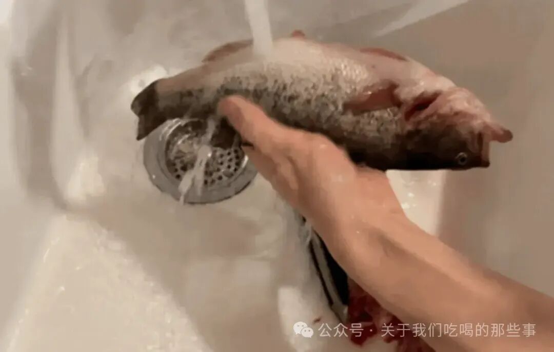 鲈鱼怎样做好吃