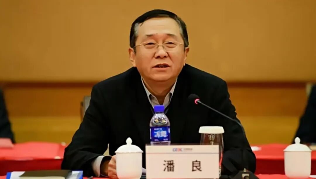 陈伟俊被“双开”，潘良被开除党籍！