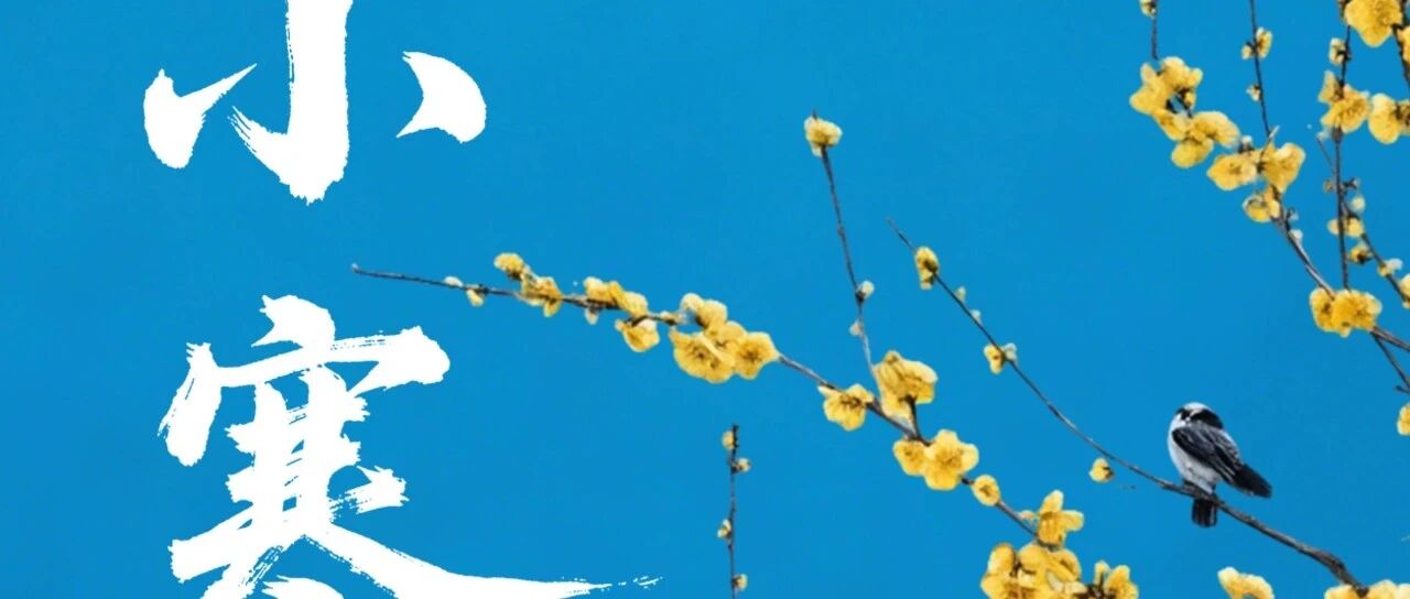 cover_image