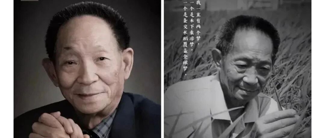 钟南山悼念袁隆平！曾多次提醒他，因这病把63年的烟戒了！