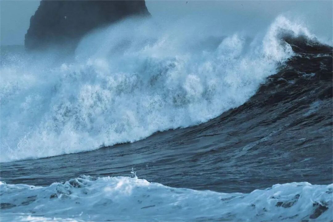 做自媒体的女生都不要脸