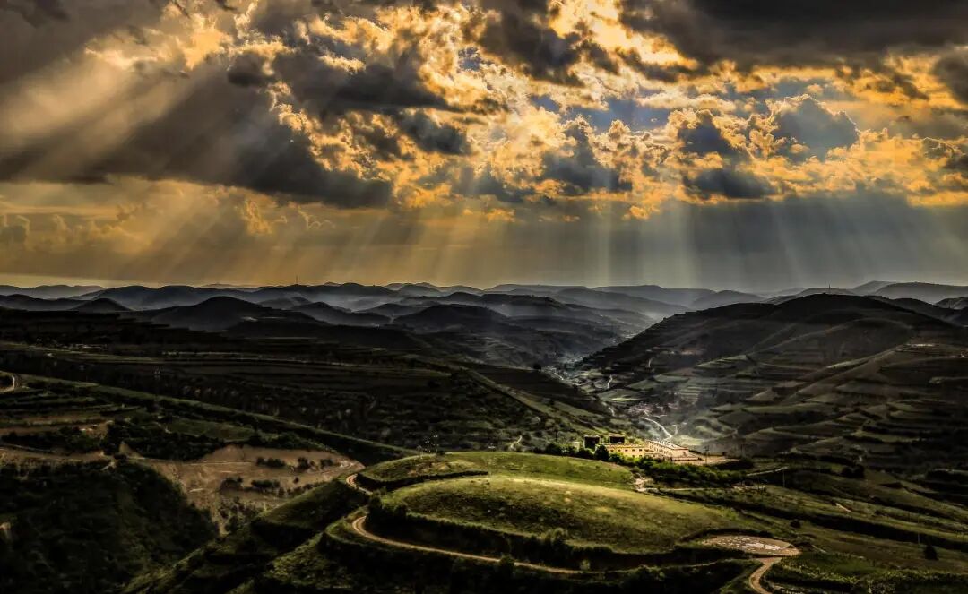 生命力拉满!感受长庆人笔下的文字力量