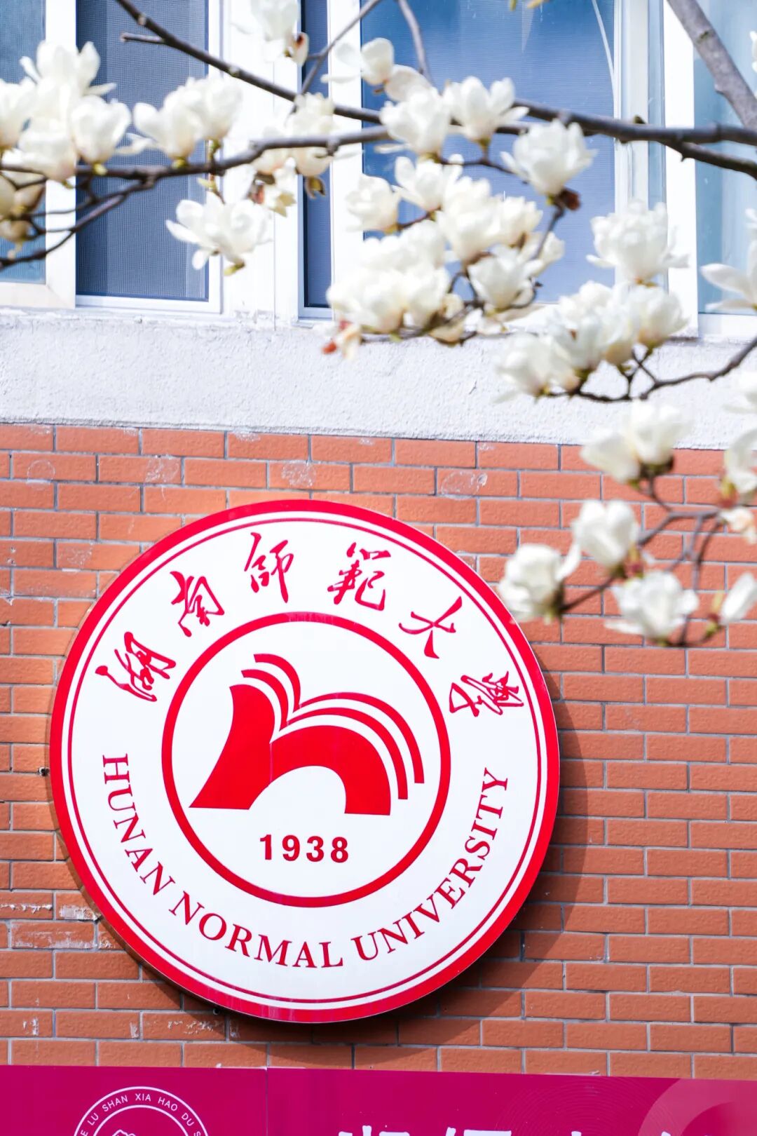 木兰花牛虹力 (1).jpg