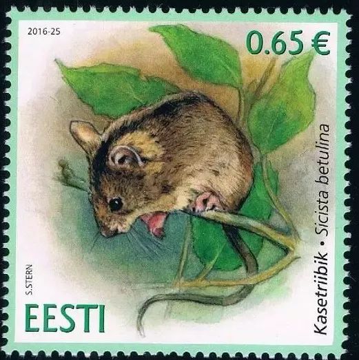 金丝熊和虎纹熊交配_金丝熊身上有大量病毒_米熊和金丝熊那个温顺