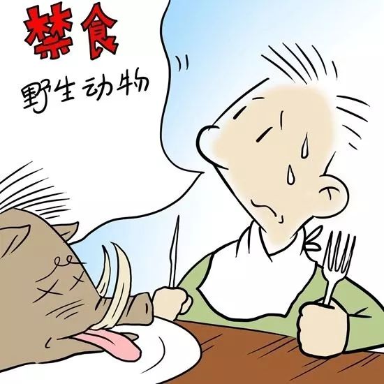 金丝熊身上有大量病毒_金丝熊和虎纹熊交配_米熊和金丝熊那个温顺