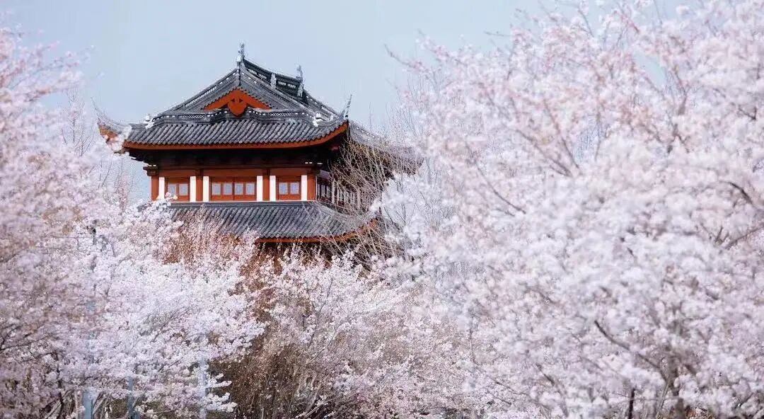 登瀛阁2.jpg