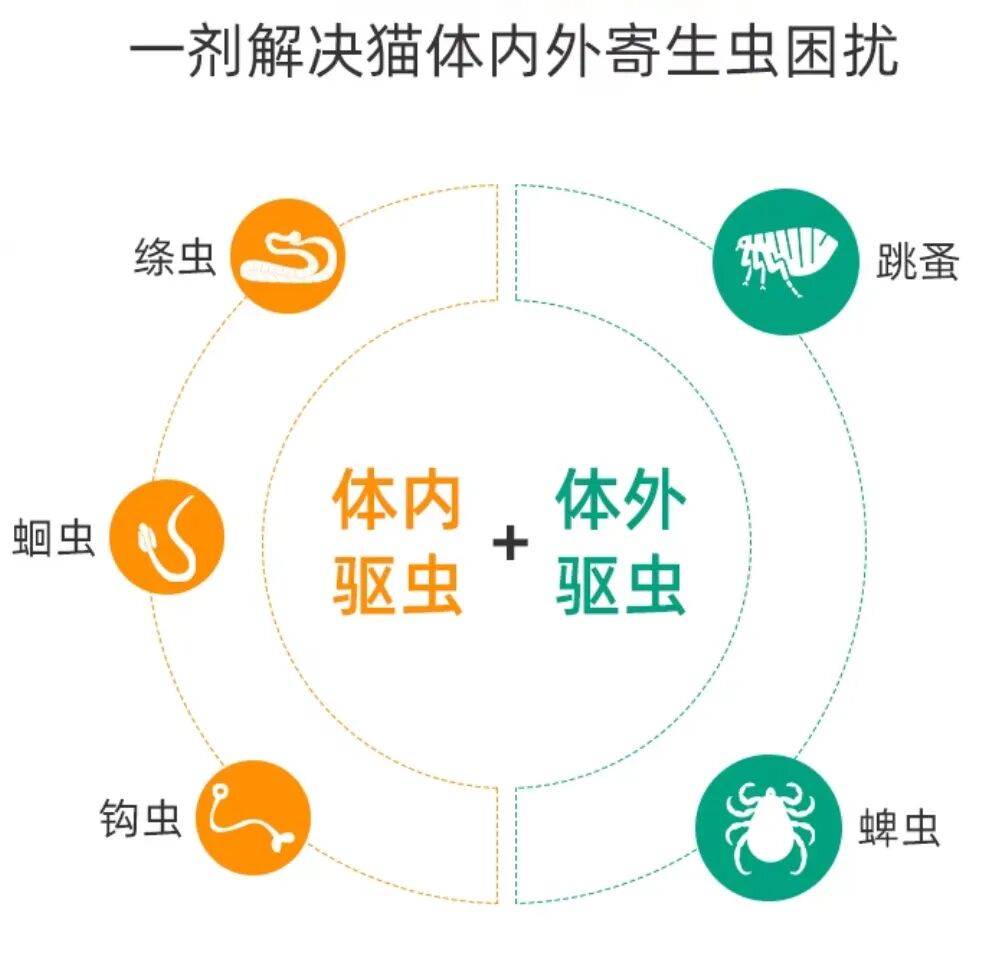  今日识药：博来恩®️复方非泼罗尼吡喹酮滴剂 