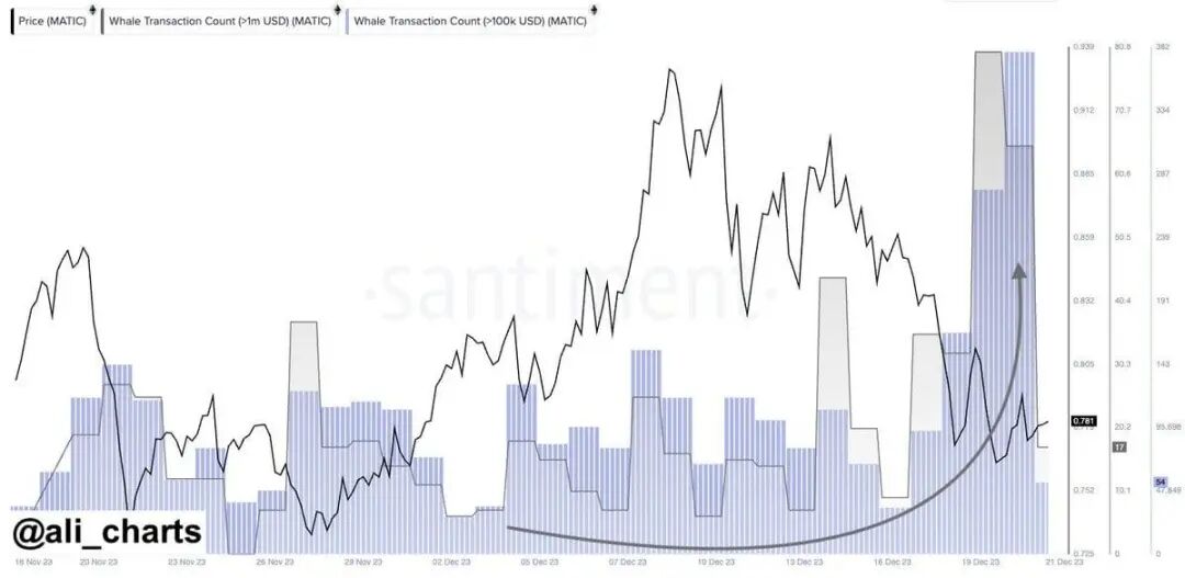 3山寨币12月底有持续强劲上涨的潜力
