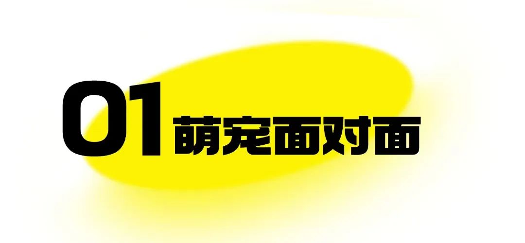 东城园童学游丨萌宠乐园--原来你也萌萌哒~