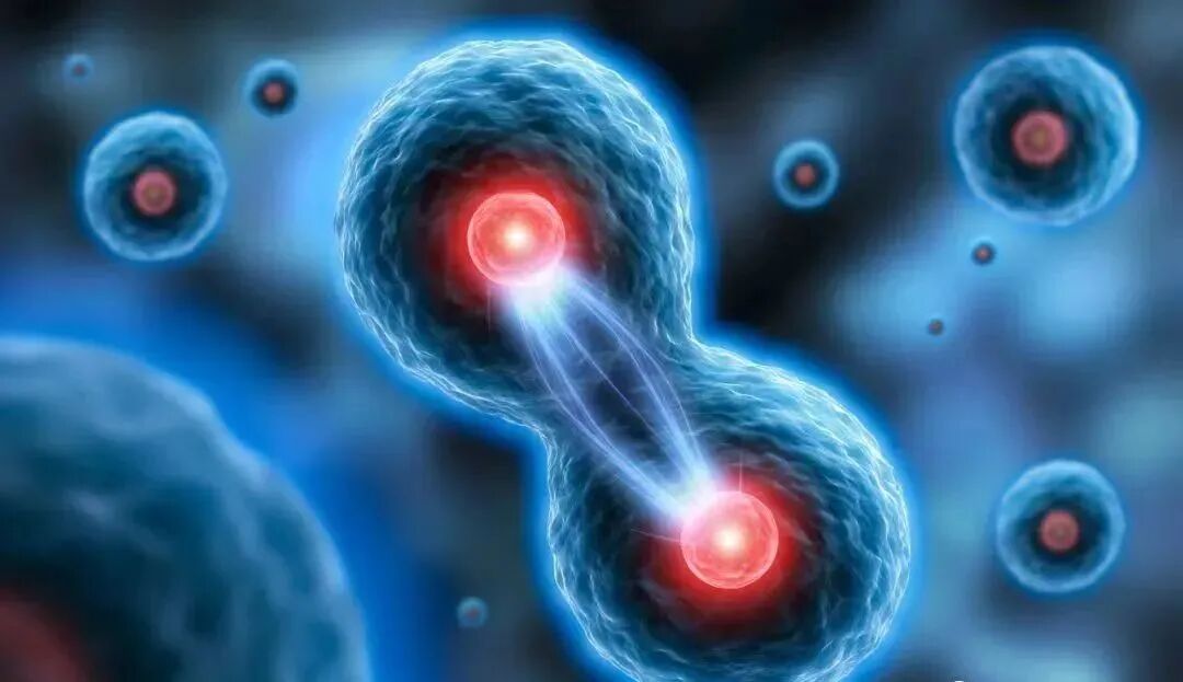 mmexporte718d3e7a232ce050d49a483966e3273_1743904.j