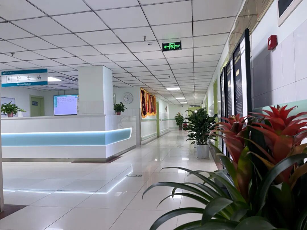 vsd引流怎么拔出新技术新项目｜VSD技术与游离皮片移植术的“双剑合璧”_https://www.jmylbn.com_新闻资讯_第5张