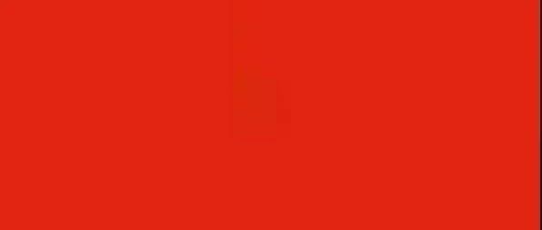 陈昊花都致辞全文