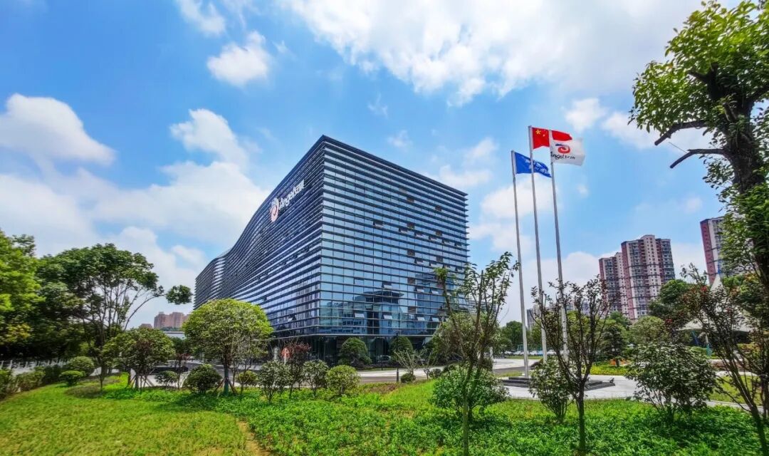 安琪酵母公司大楼