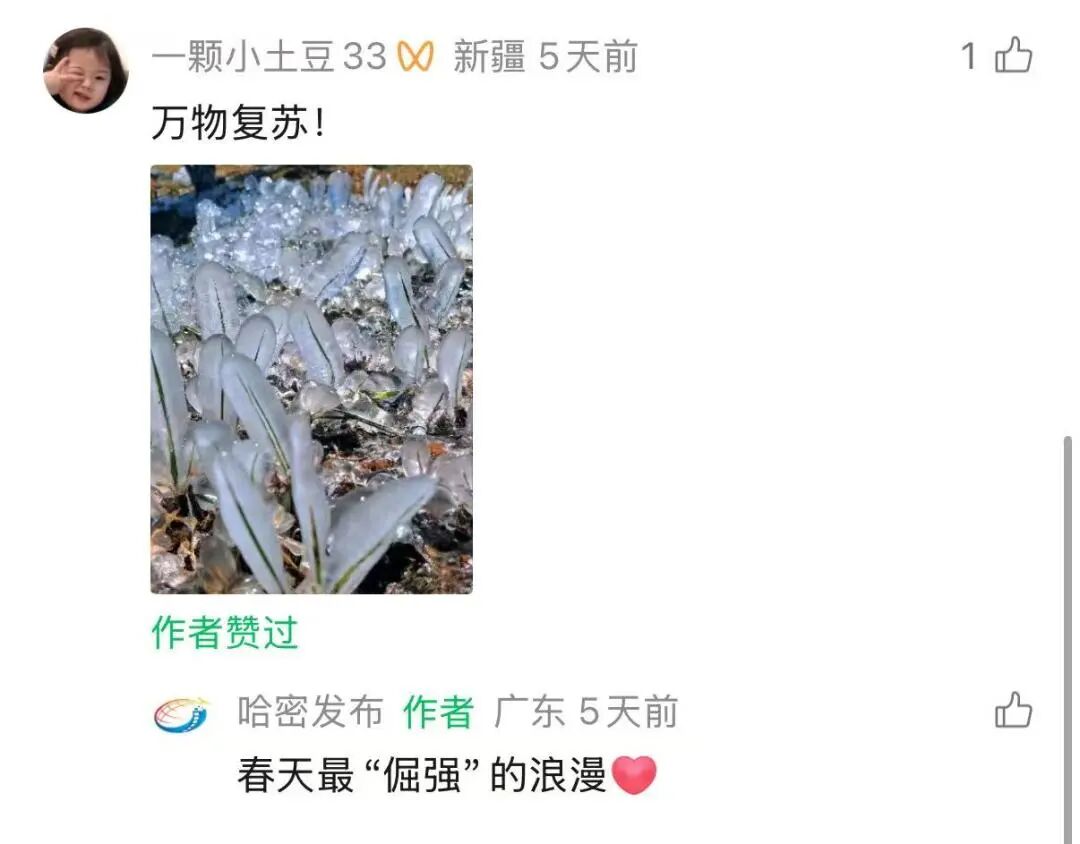 微信图片_20260424084408_4405_155.jpg