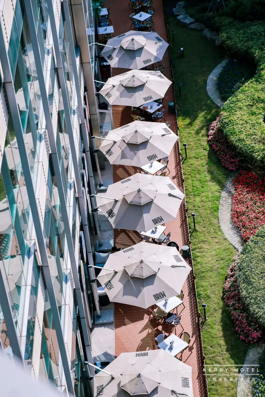 Shanghai ： The BREW Summer Party Feast for 4, RMB488 with Beer