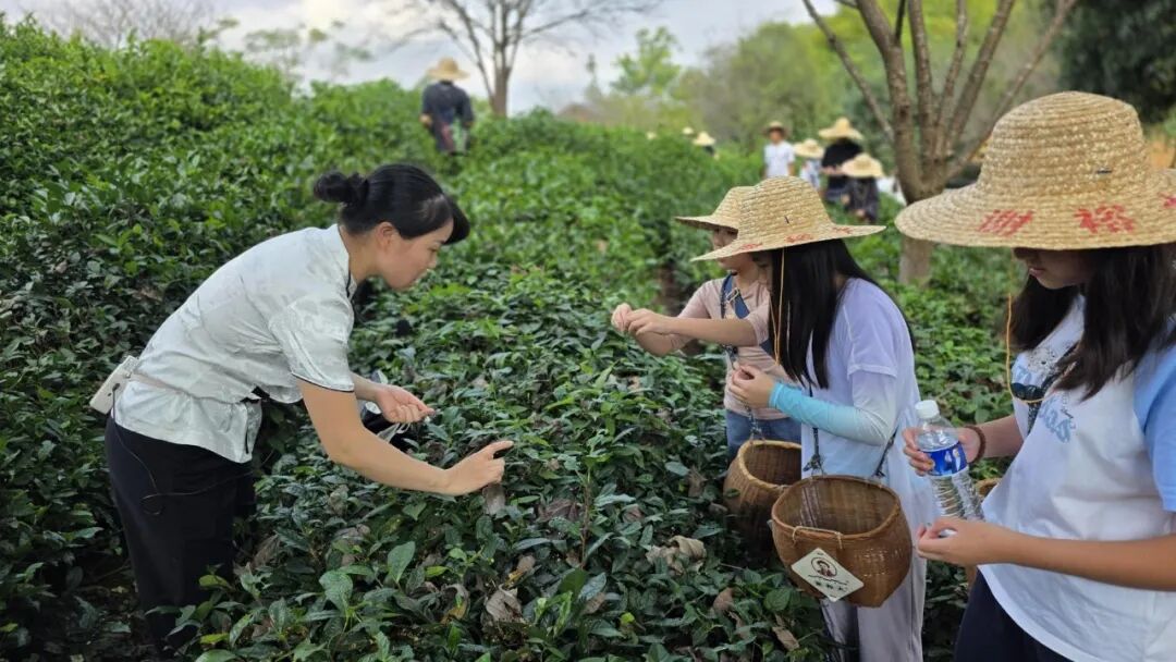 Shanghai Intl School Roundup ： STEAM, Awards & Open Days, Oct 2026