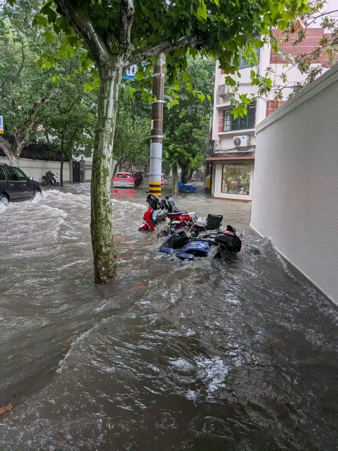 Typhoon Dolphin ： Shanghai Floods, Disneyland Closed, 1,000 Flights Canceled