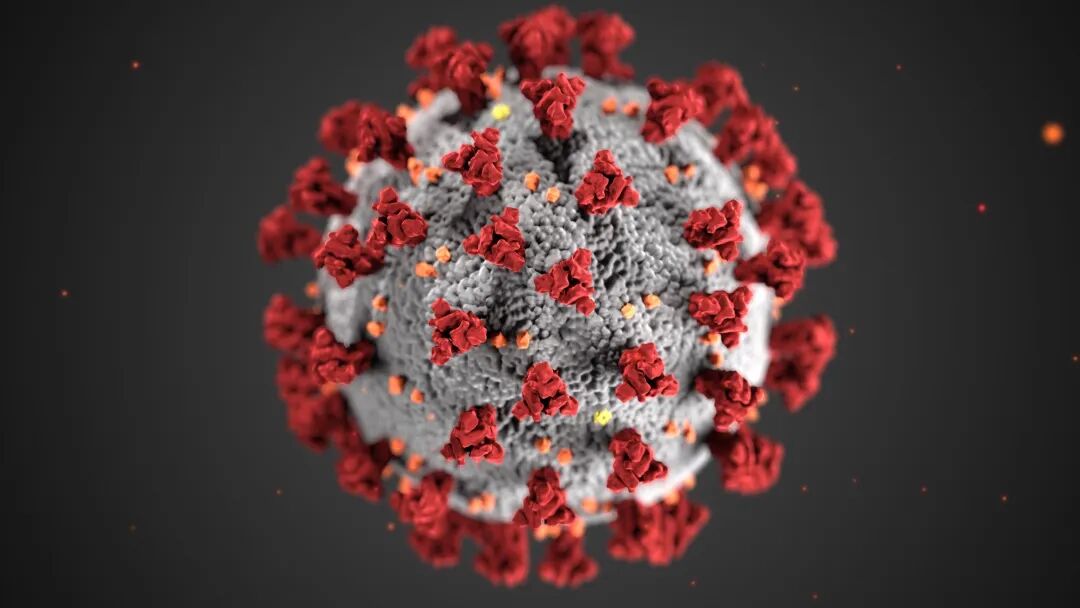 China COVID Summer Surge ： 79,000 Confirmed Cases in June, CDC