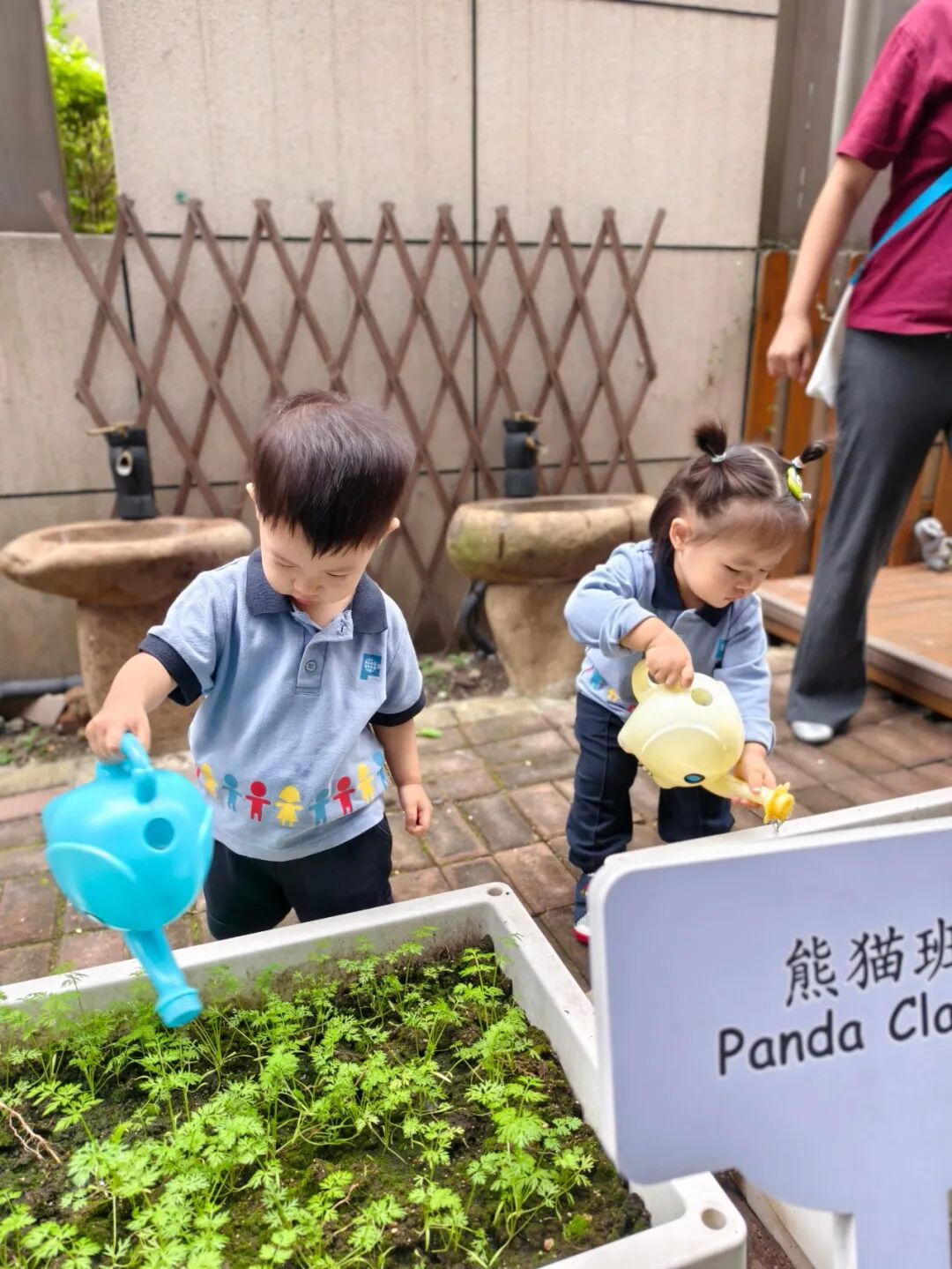 Shanghai Intl School Roundup ： STEAM, Awards & Open Days, Oct 2026