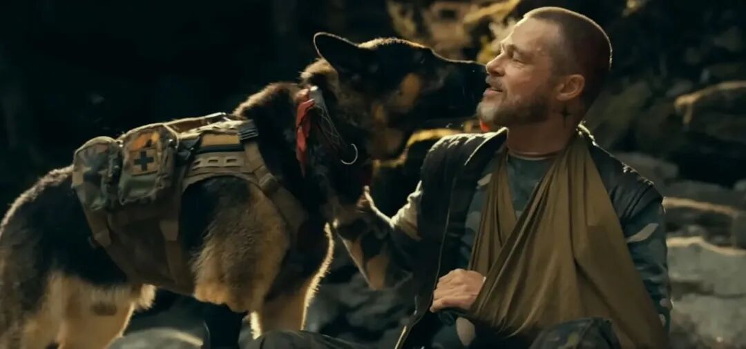 6 International Movies in Chinese Cinemas September 2026