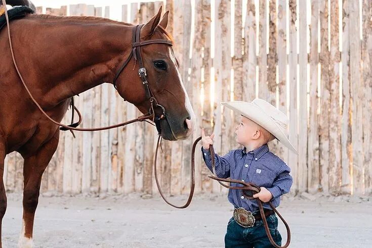 Shanghai Kids' Camps ： Animals, Drama, Cowboys & Equestrian Deals