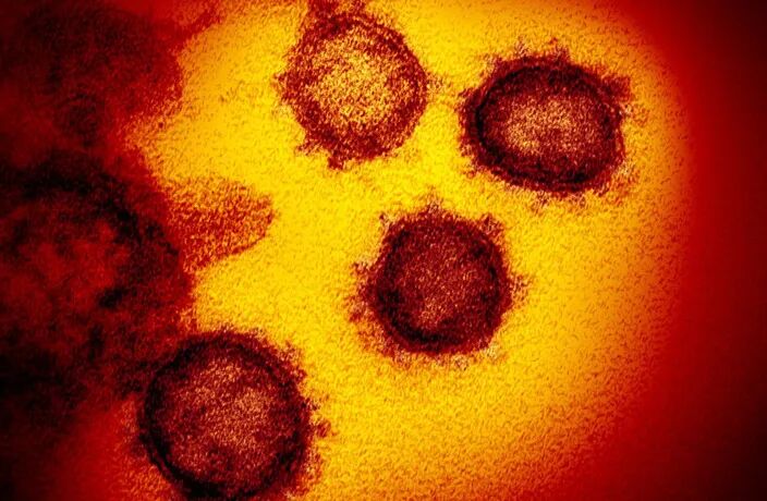 China COVID Summer Surge ： 79,000 Confirmed Cases in June, CDC