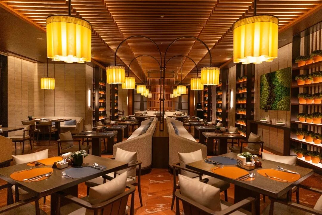 Shanghai Wellness Hotel Review ： Chakra Healing & Spa at Surya Hotel