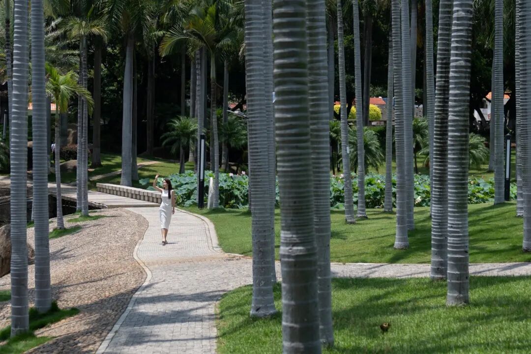 Waldorf Astoria Xiamen Summer 2026 Family Package from RMB2,588