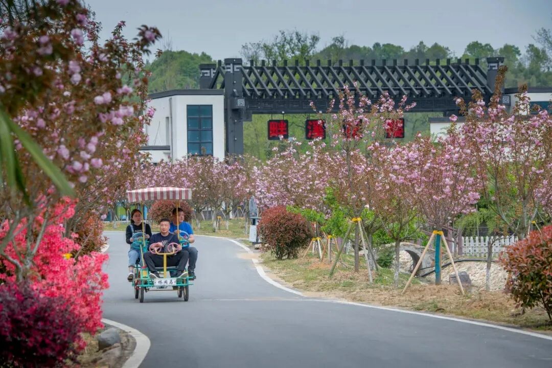 住宿一律8折优惠时间5月18日~5月底面向人群全国抹茶小镇优惠政策指定