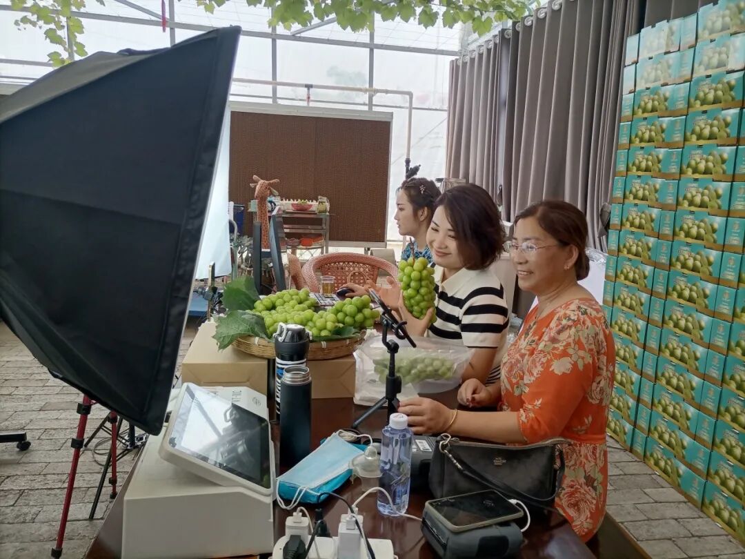 QQ截图20250225095118