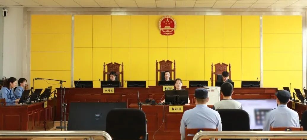 庭审.jpg
