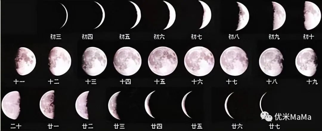 阳历农历阴历公历有啥区别_阳历农历转换器_阳历和农历