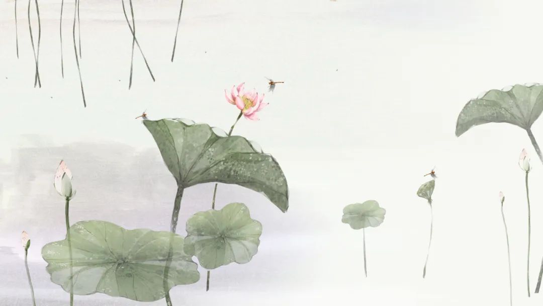 适合《生如夏花》的朗诵配乐,泰戈尔：生如夏花|群合诵