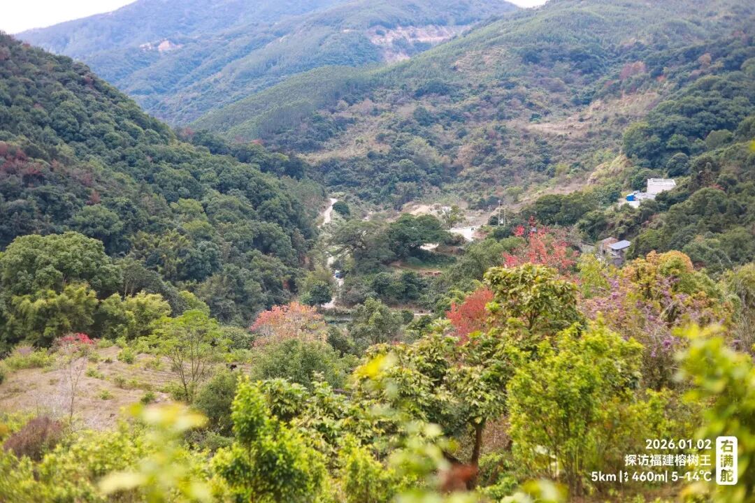 右满舵百线共享 | NO.99：榕树王圈越 配图11