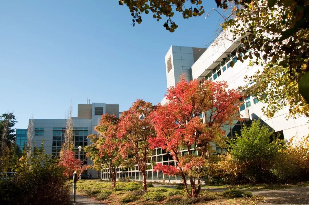 640 - 2025-05-26T105251.877.jpg