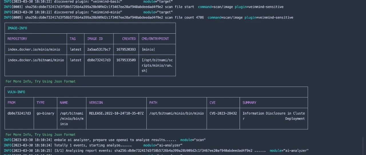 Example Image