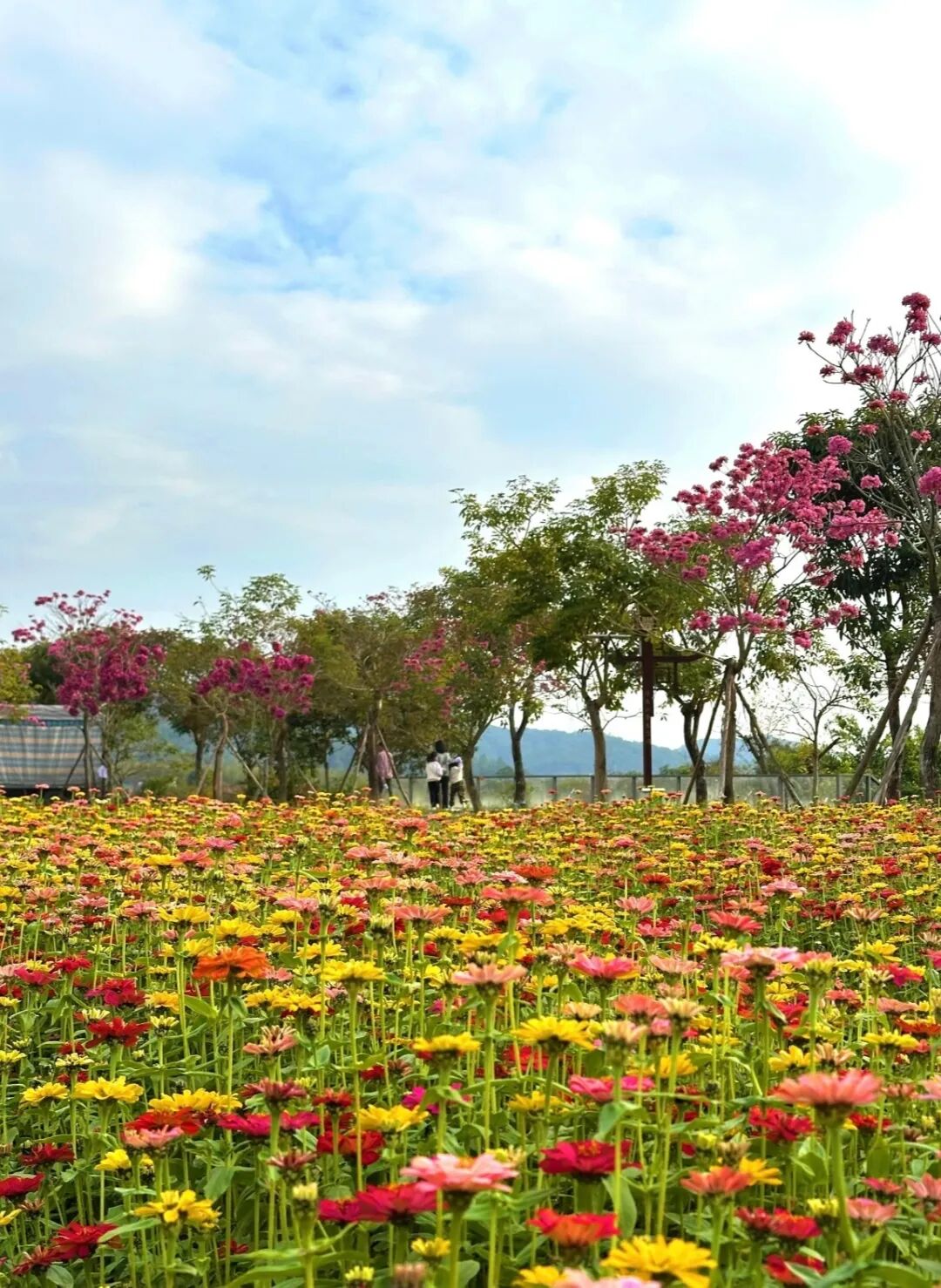 图源 小红书用户 浮生六季生态园