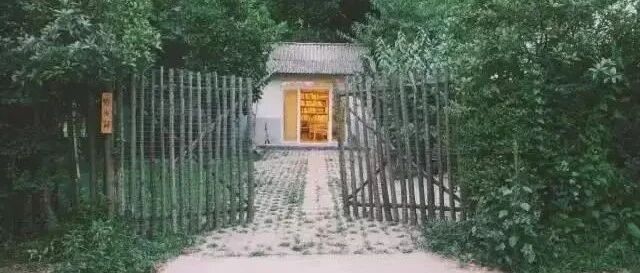 她徒手爆改废弃院子，三人一猫一狗，过着最诗意的生活！