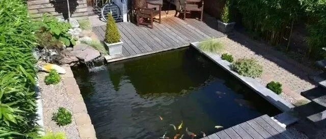 他花了6个月，将小院改造成诗意庭院，完工后让人惊艳