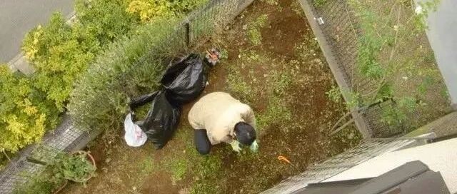 历时19年，小哥熬成大叔不断改造进化的4㎡小院子！ ​