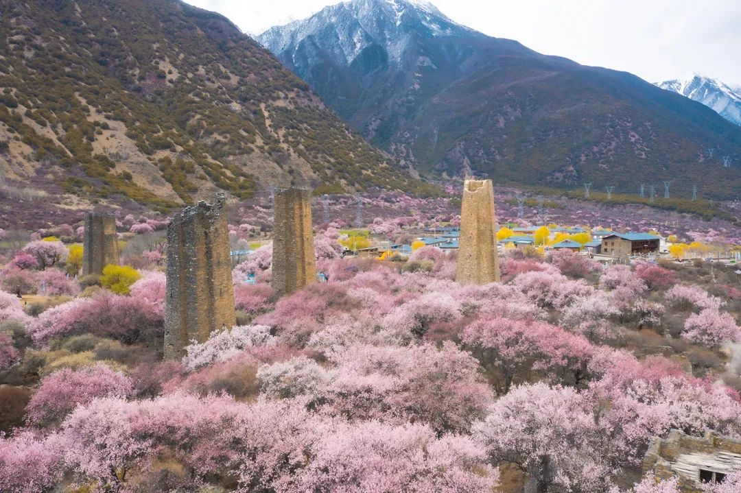 林芝最佳旅游季节图片