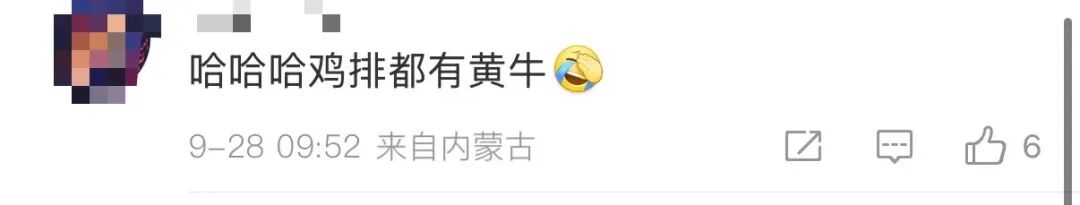 鸡排哥整治黄牛